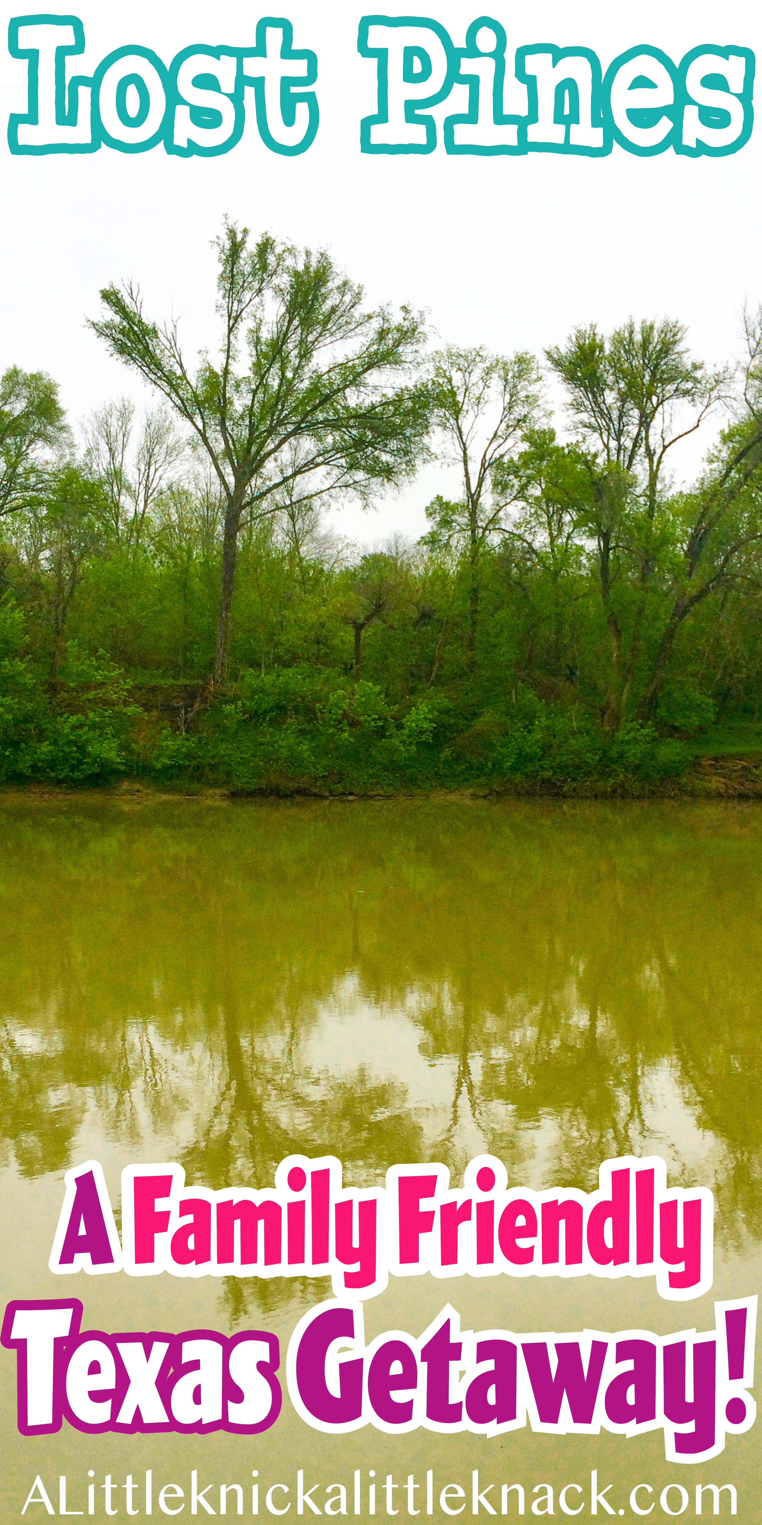 Trees reflected in a river with a text overlay 