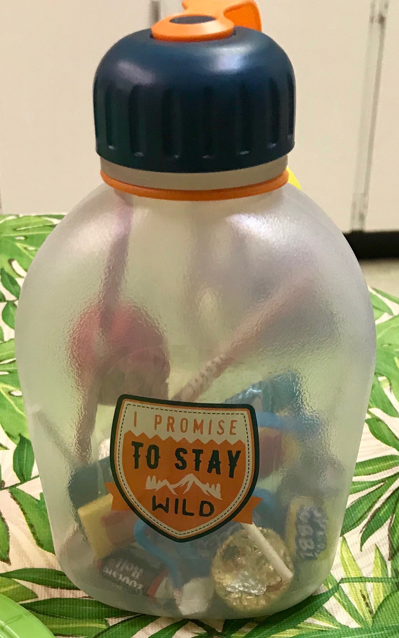 Wild and Nature themed Party hack: Use canteens as the gift bags and favors! Ideas for a unique and unforgettable "Wild" children's birthday party for your Wild Kratts and Animal lover! These wildlife sanctuary, jungle themed party tips are sure to be a hit. 