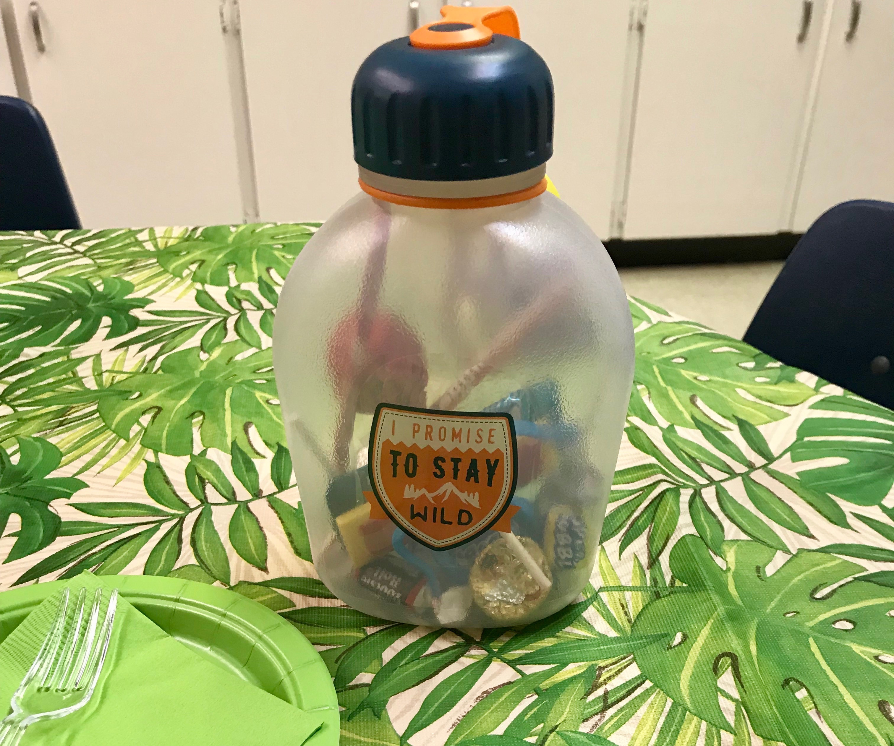 Wild and Nature themed party hack: Use canteens as the gift bags and favors! Ideas for a unique and unforgettable "Wild" children's birthday party for your Wild Kratts and Animal lover! These wildlife sanctuary, jungle themed party tips are sure to be a hit. 