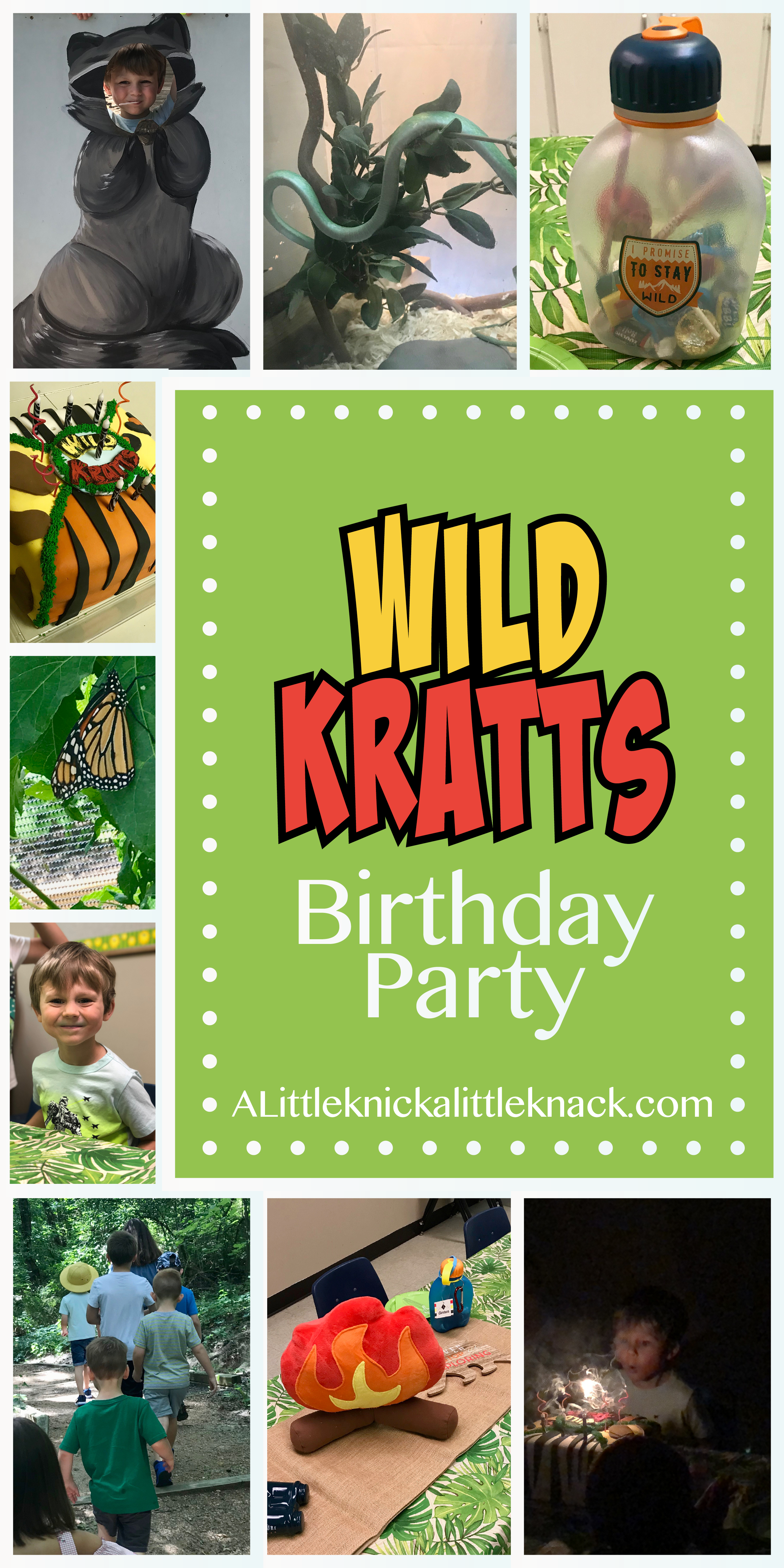 Ideas for a unique and unforgettable "Wild" children's birthday party for your Wild Kratts and Animal lover! These wildlife sanctuary, jungle themed party tips are sure to be a hit. 