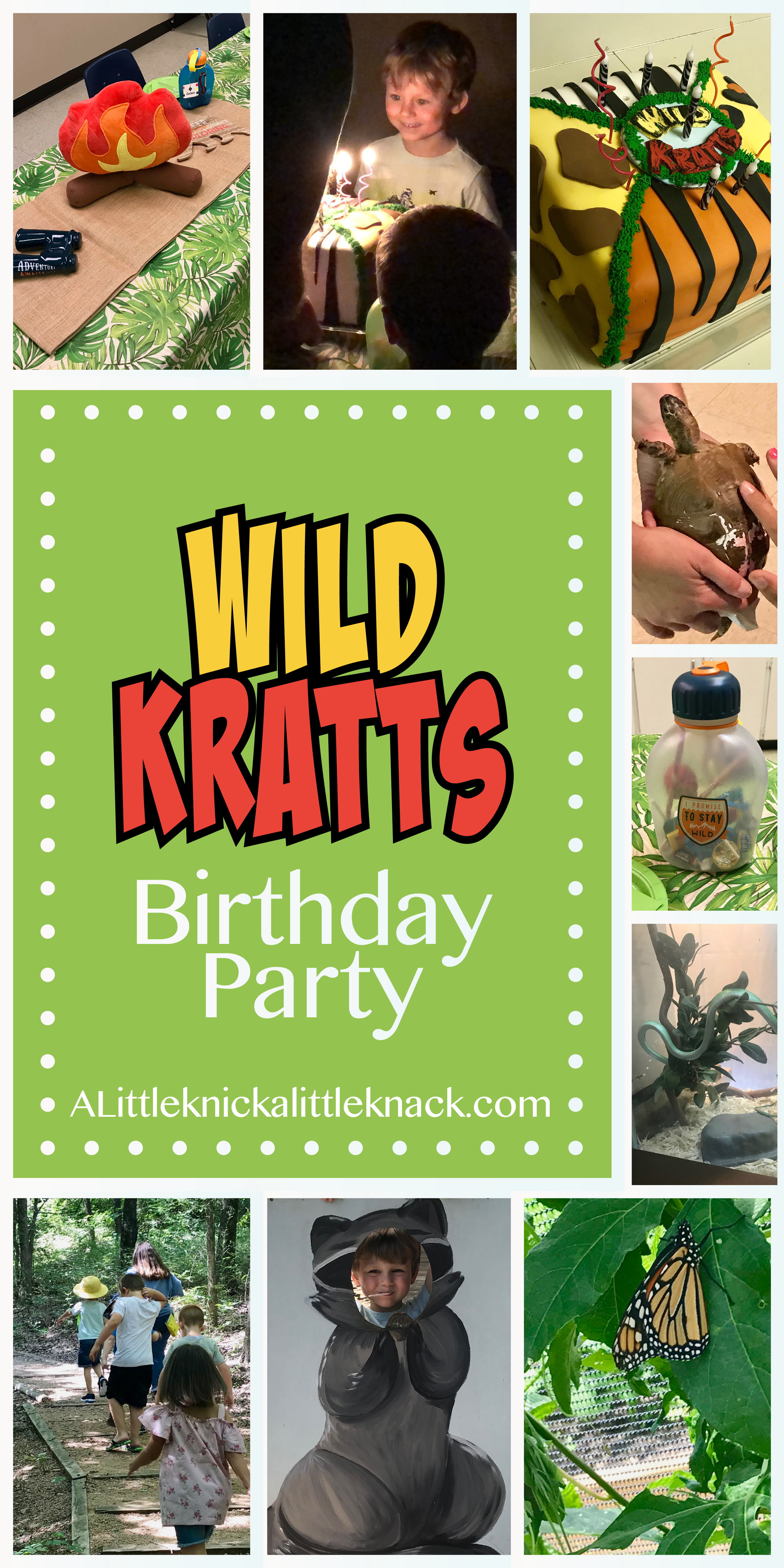 Ideas for a unique and unforgettable "Wild" children's birthday party for your Wild Kratts and Animal lover! These wildlife sanctuary, jungle themed party tips are sure to be a hit. 