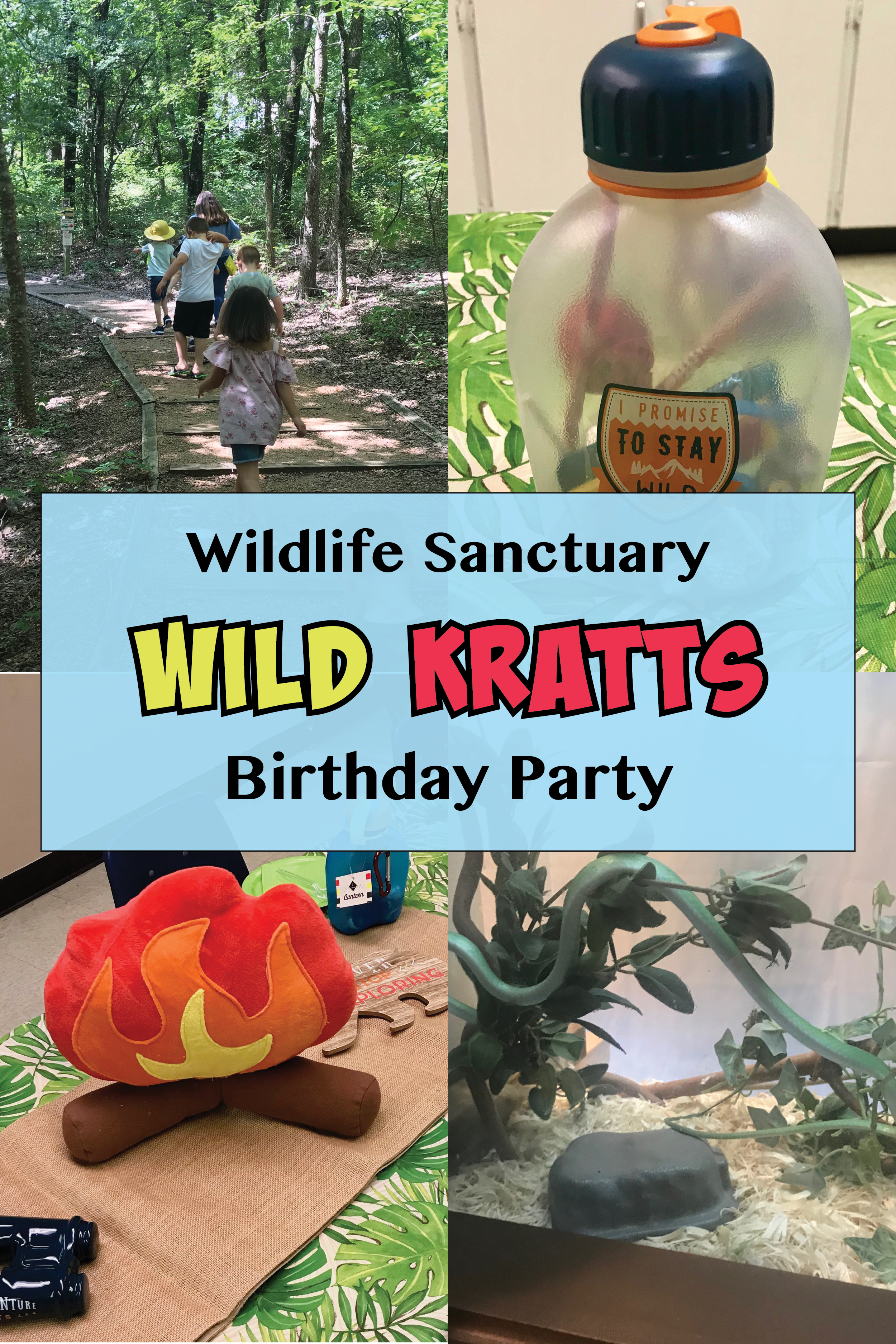 Ideas for a unique and unforgettable "Wild" children's birthday party for your Wild Kratts and Animal lover! These wildlife sanctuary, jungle themed party tips are sure to be a hit. 