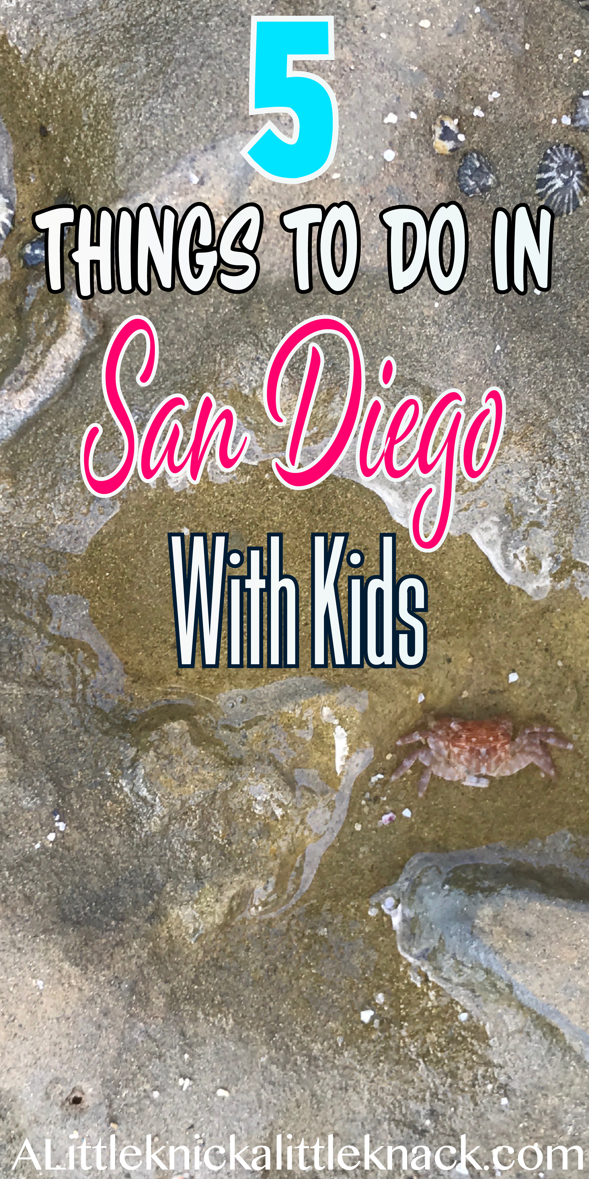 From the tide pools at Cabrillo National Monument to sailing the high seas these are the 5 must do activities with kids in San diego 