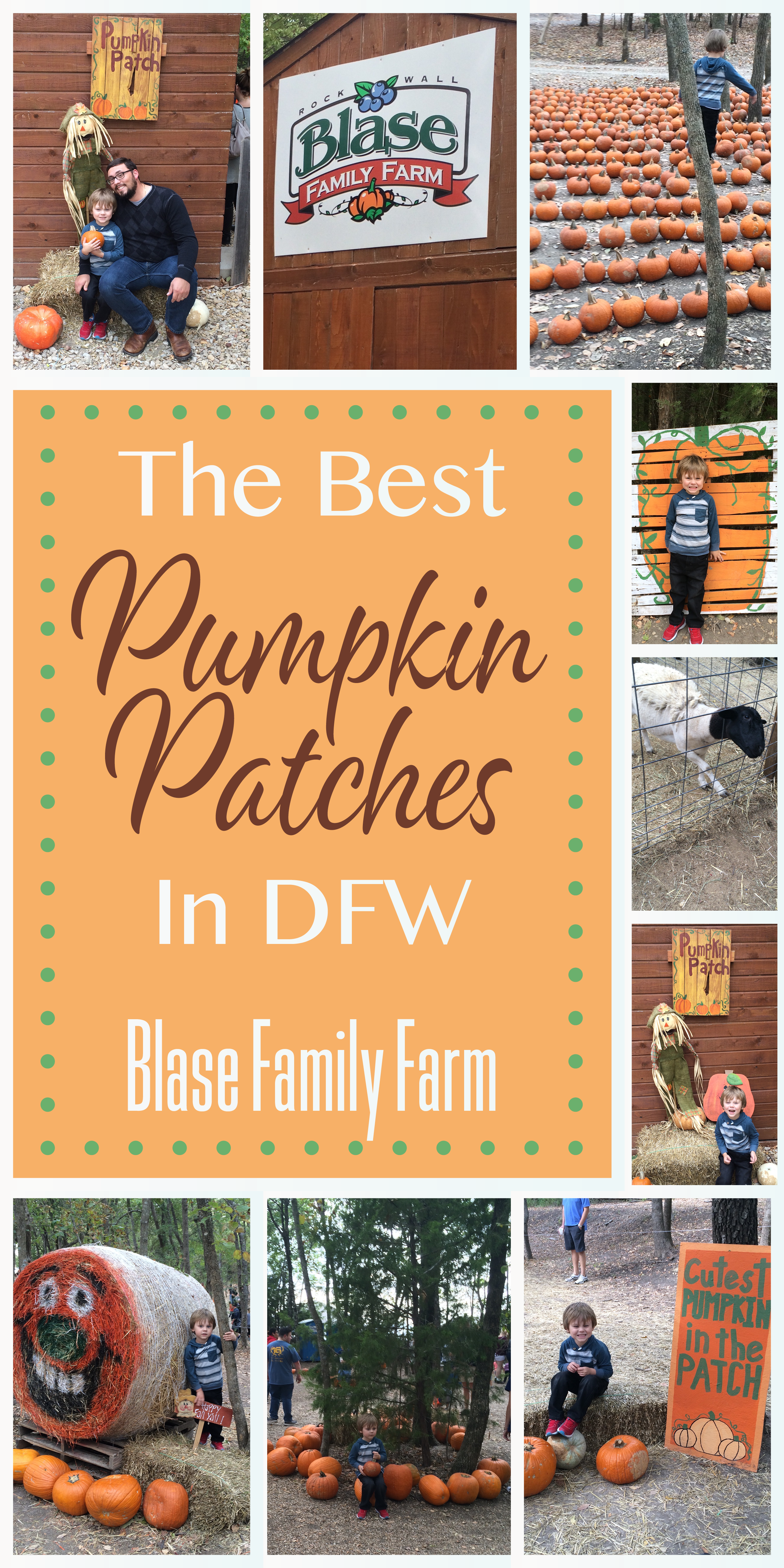 Get out and enjoy fall in Texas! These are the best Pumpkin Patches in the DFW area and North Texas!