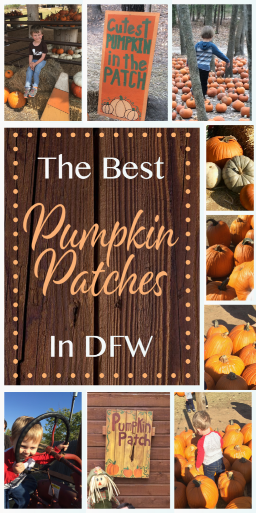 The Best Pumpkin Patches In Dfw A Little Knick A Little Knack 1232