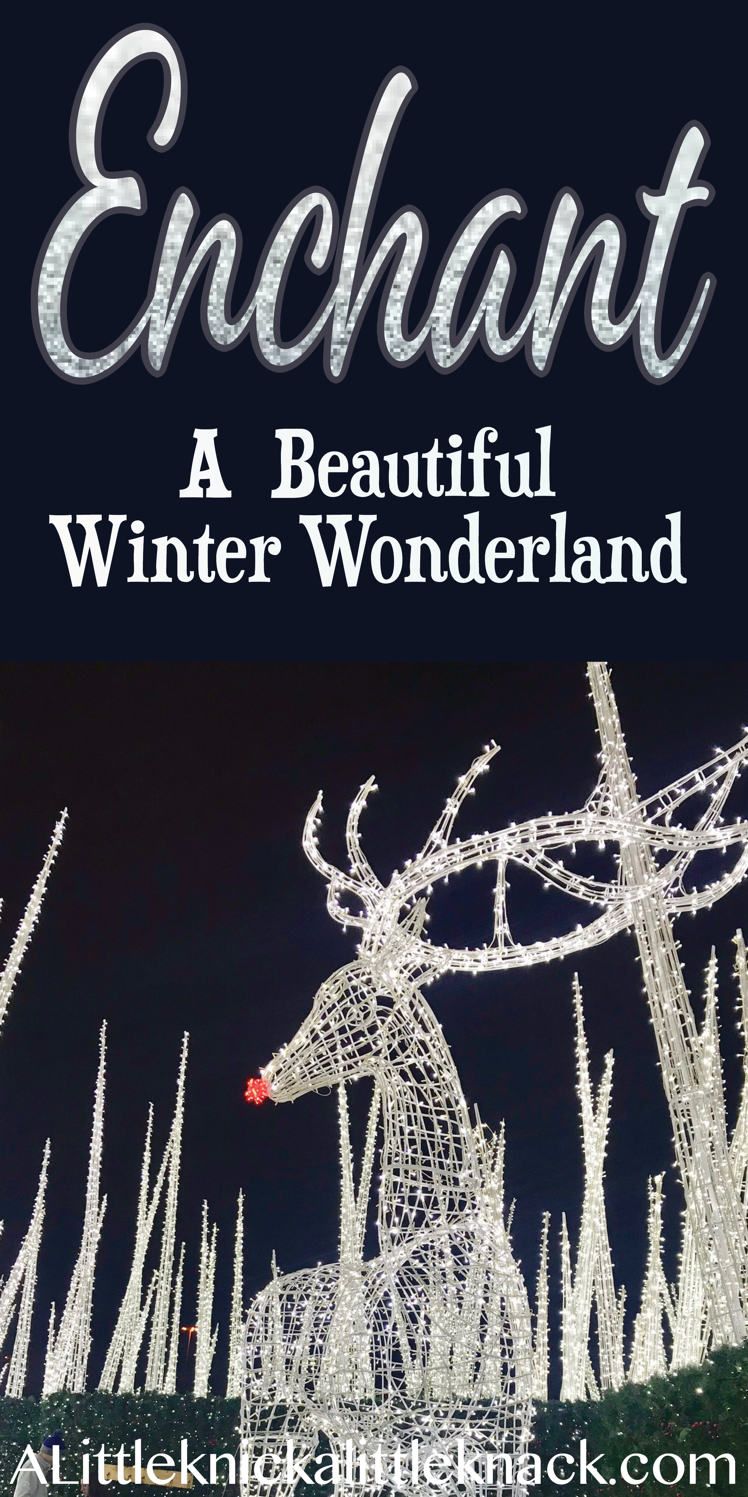 We headed to Enchant in Arlington, Texas and here is what we really thought! #Winterfun
