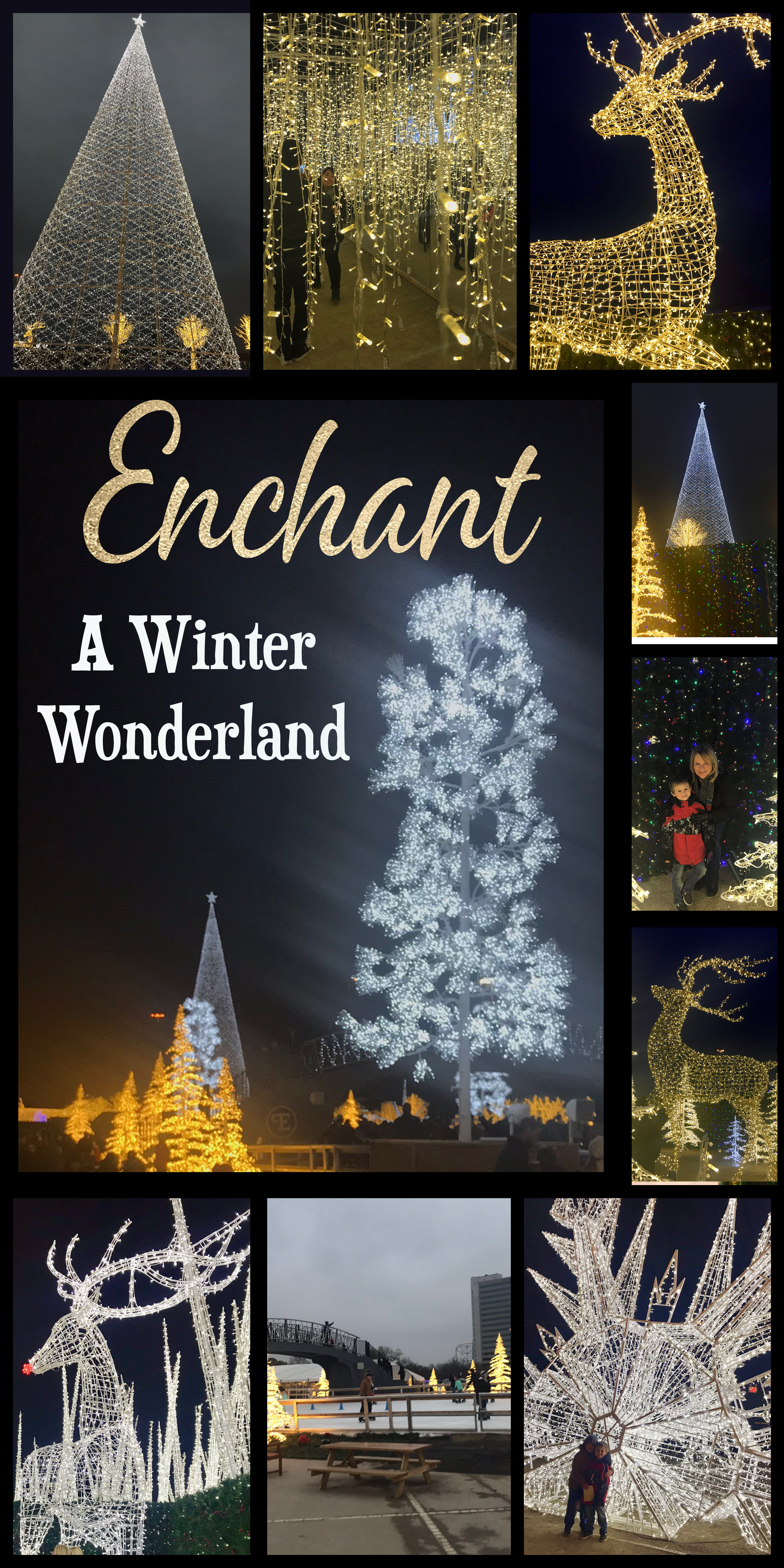 If you love in Washington or Texas be sure to head to Enchant for an unforgettable night filled with beautiful lights #EnchantDFW