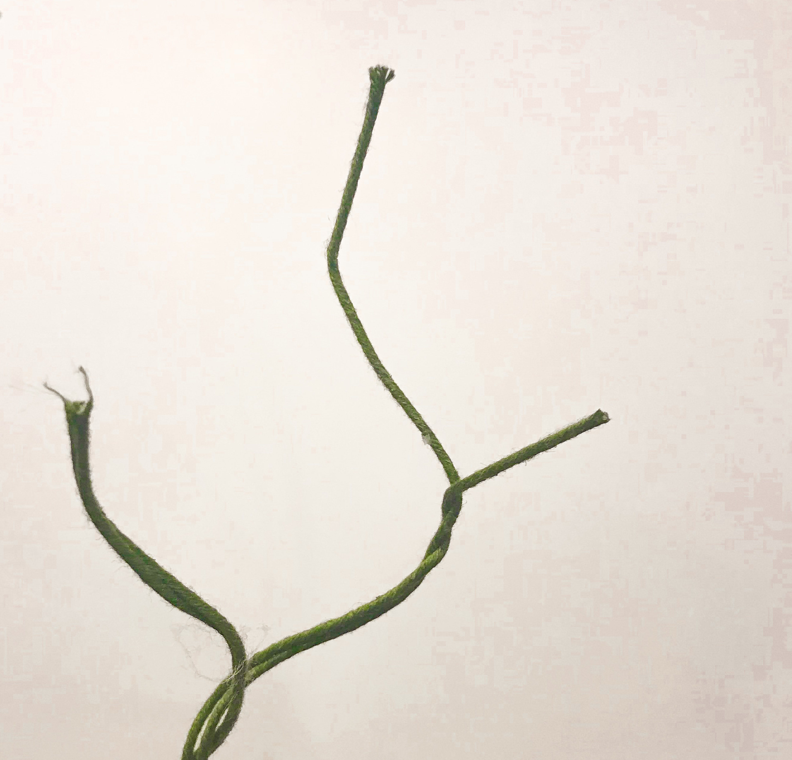 Uneven green floral stems bent to emulate tree branches. 